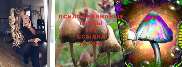 спиды Абаза
