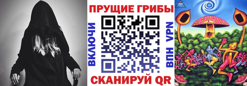 mega как войти  Котово  Галлюциногенные грибы MAGIC MUSHROOMS 