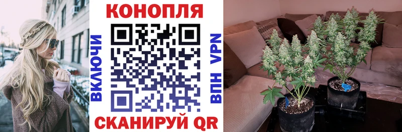 Каннабис индика  наркошоп  hydra онион  Котово 